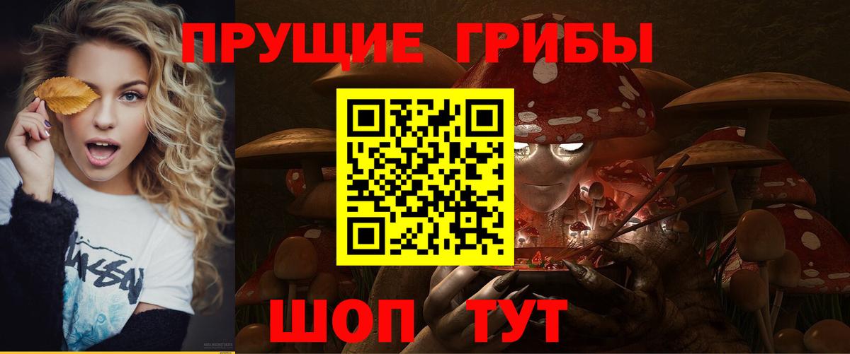 Сибай  Псилоцибиновые грибы мухоморы  Вход с VPN 
